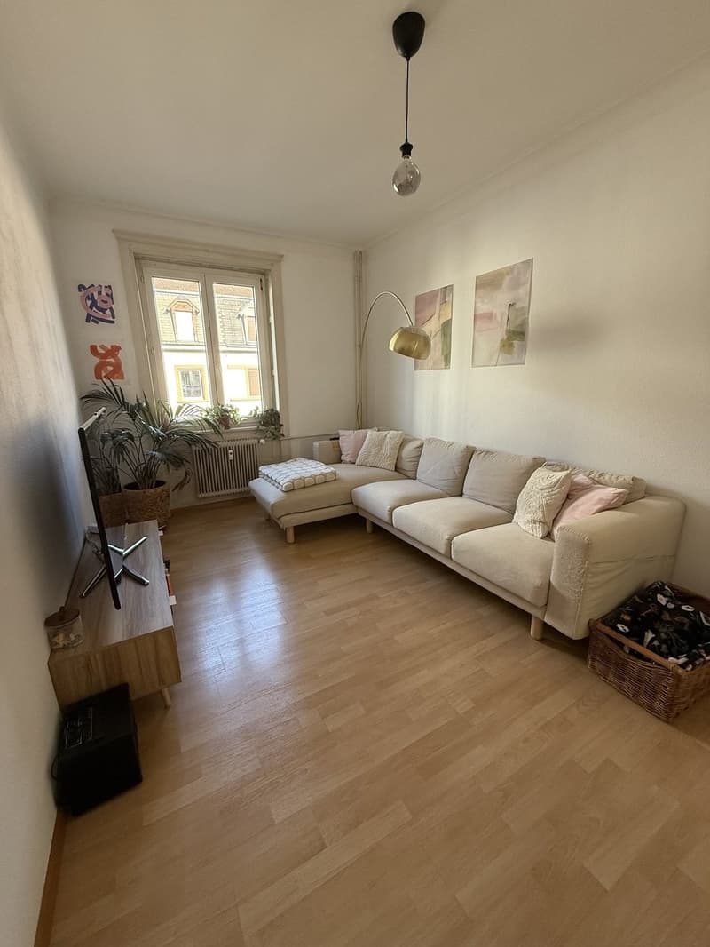 Charmante 2-Zimmer-Wohnung in 4056 Basel Nachmieter/in ab 16.12.2026 gesucht (1)