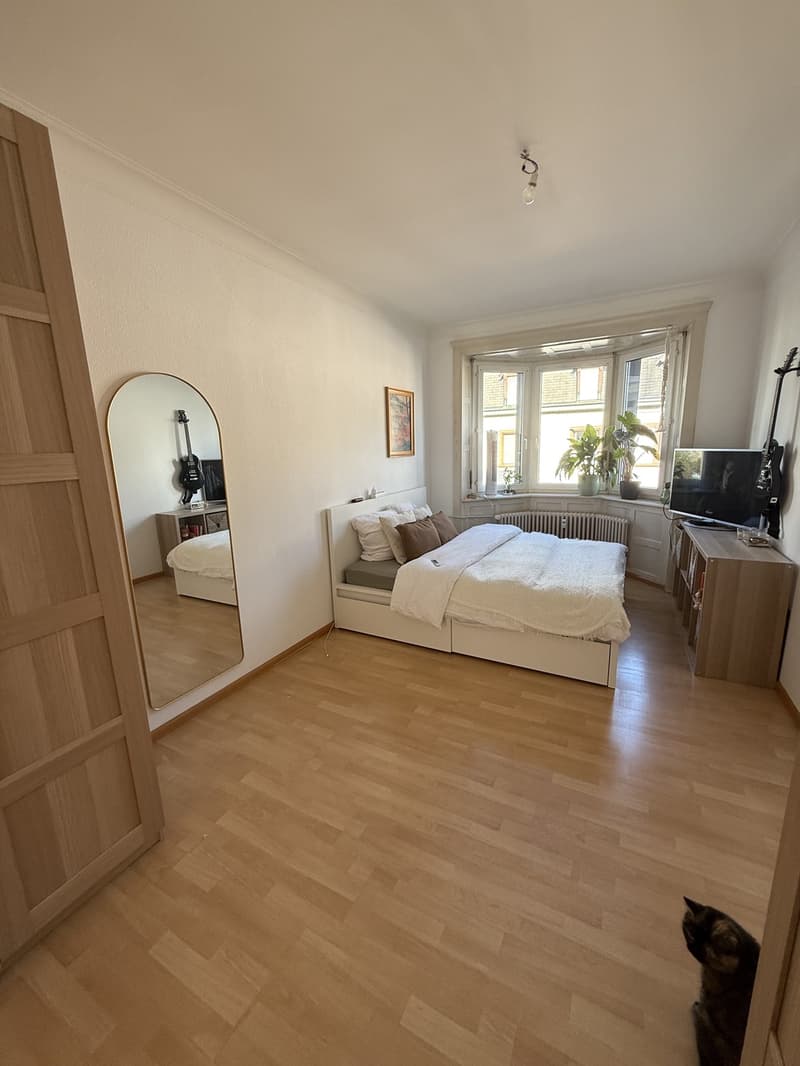 Charmante 2-Zimmer-Wohnung in 4056 Basel Nachmieter/in ab 16.12.2026 gesucht (2)