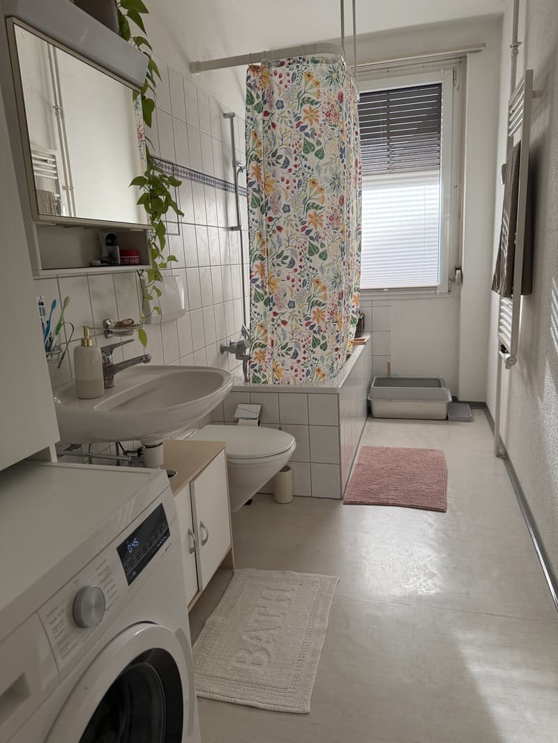 Charmante 2-Zimmer-Wohnung in 4056 Basel Nachmieter/in ab 16.12.2026 gesucht (5)