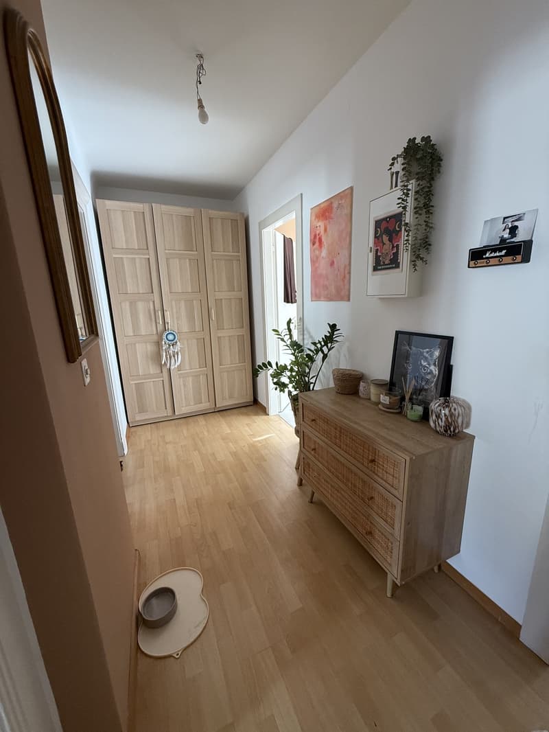 Charmante 2-Zimmer-Wohnung in 4056 Basel Nachmieter/in ab 16.12.2026 gesucht (4)