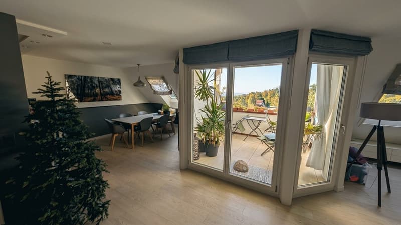 Duplex-/Maisonette-Wohnung in Zollikerberg (1)