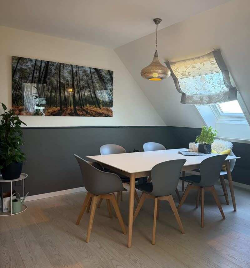Duplex-/Maisonette-Wohnung in Zollikerberg (3)