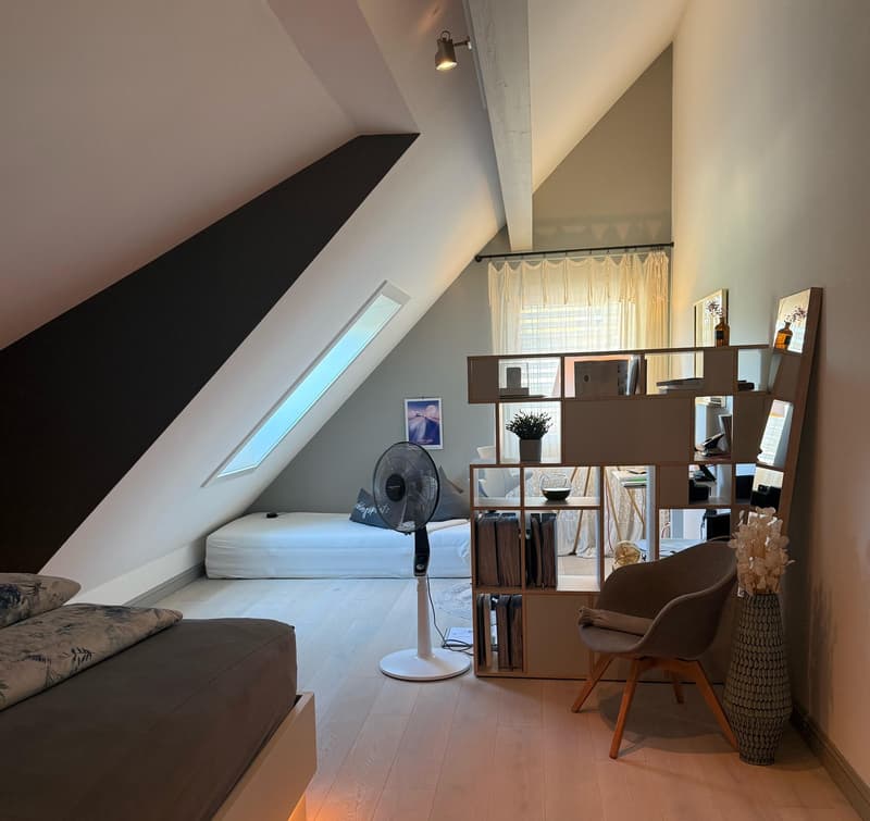 Duplex-/Maisonette-Wohnung in Zollikerberg (11)