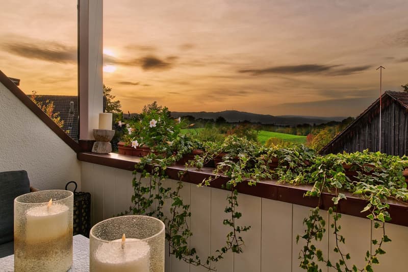 Duplex-/Maisonette-Wohnung in Zollikerberg (2)