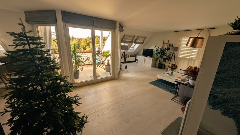 Duplex-/Maisonette-Wohnung in Zollikerberg (4)