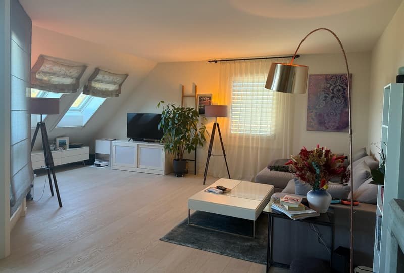 Duplex-/Maisonette-Wohnung in Zollikerberg (5)