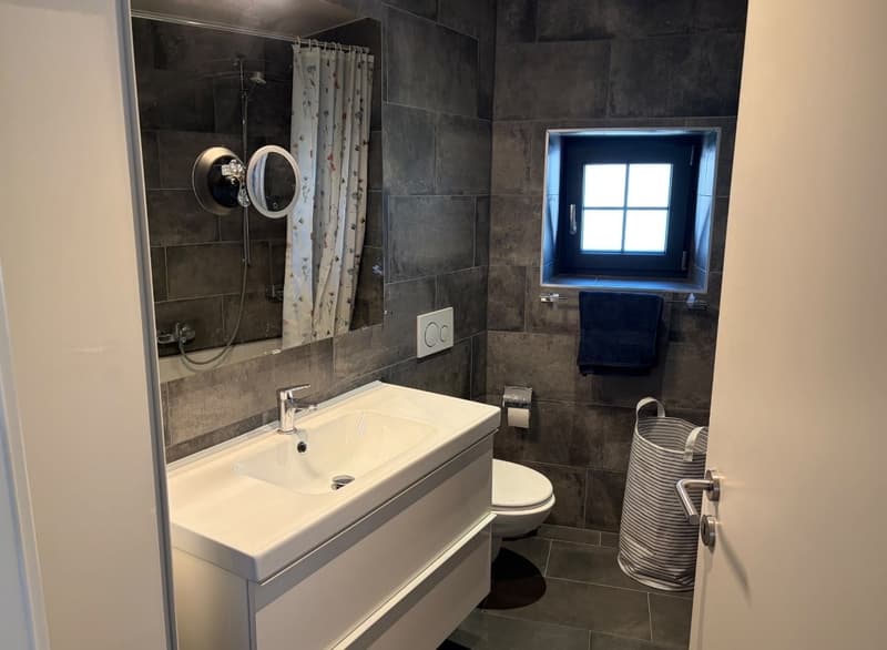 3,5 pièces lumineux, 85 m², cave et galetas Concise (VD) (4)