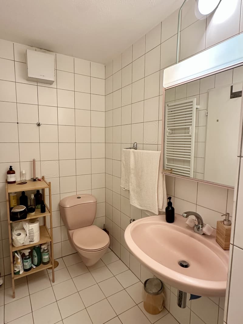 Private room in a spacious WG (8)