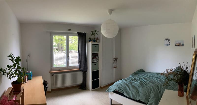 Schöne 2 1/2 Zimmer Wohnung zu vermieten (2)