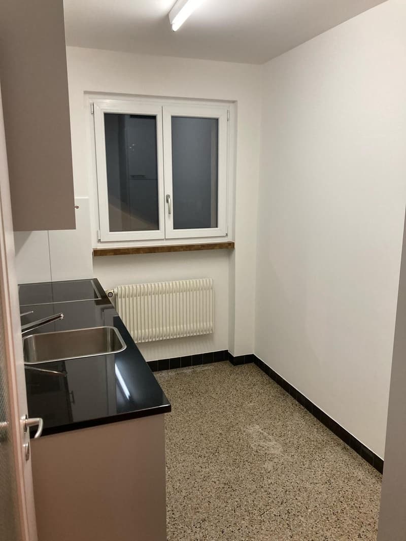Schöne 2 1/2 Zimmer Wohnung zu vermieten (3)