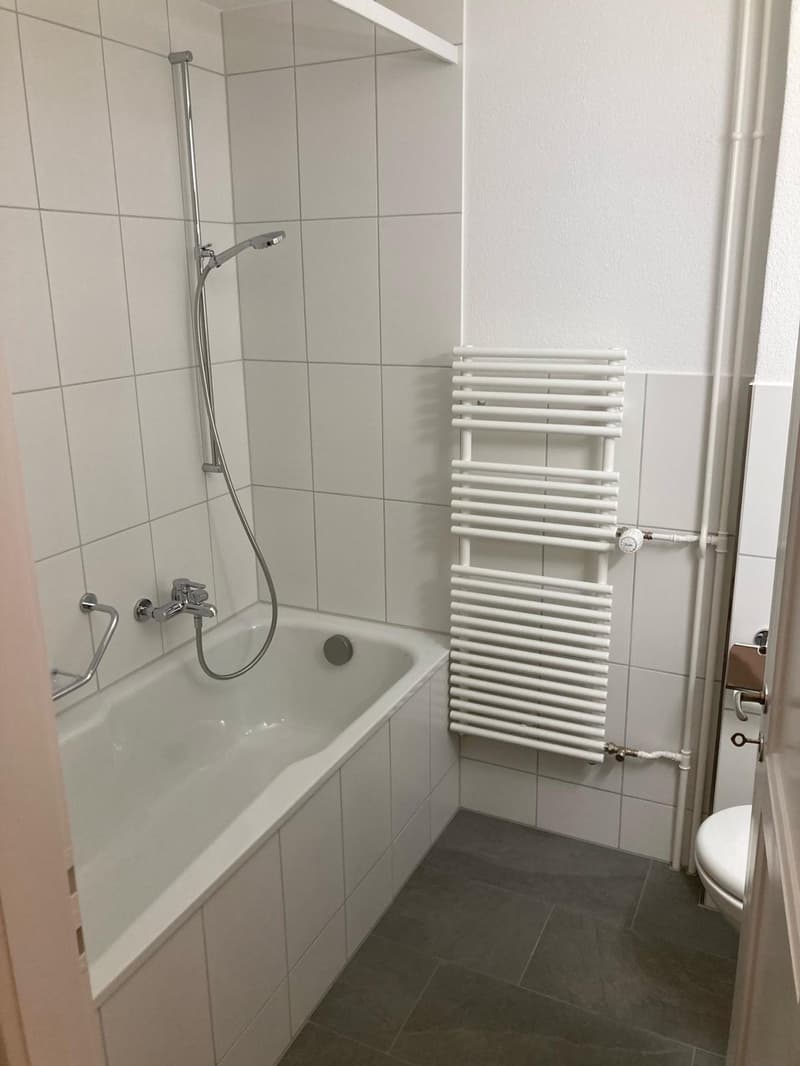 Schöne 2 1/2 Zimmer Wohnung zu vermieten (4)