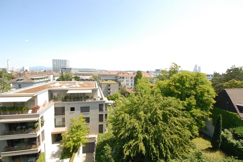 3 ½ Zimmer-Wohnung, 4055 Basel (4)