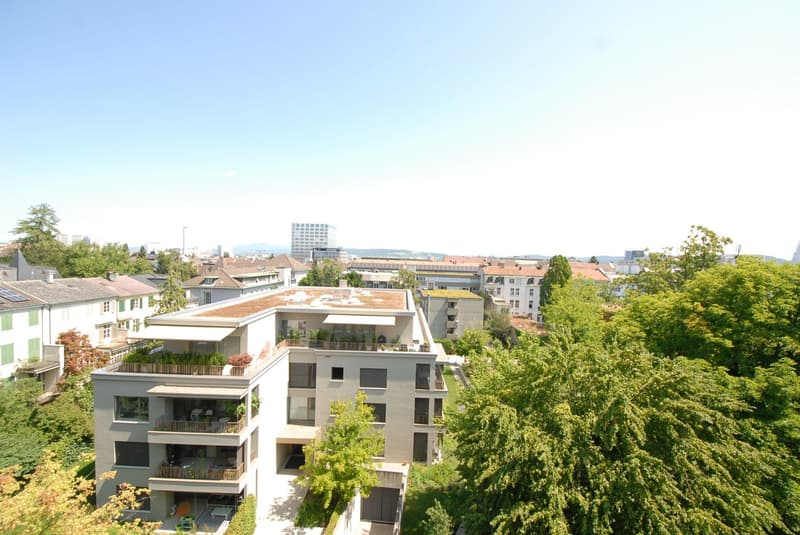 3 ½ Zimmer-Wohnung, 4055 Basel (11)