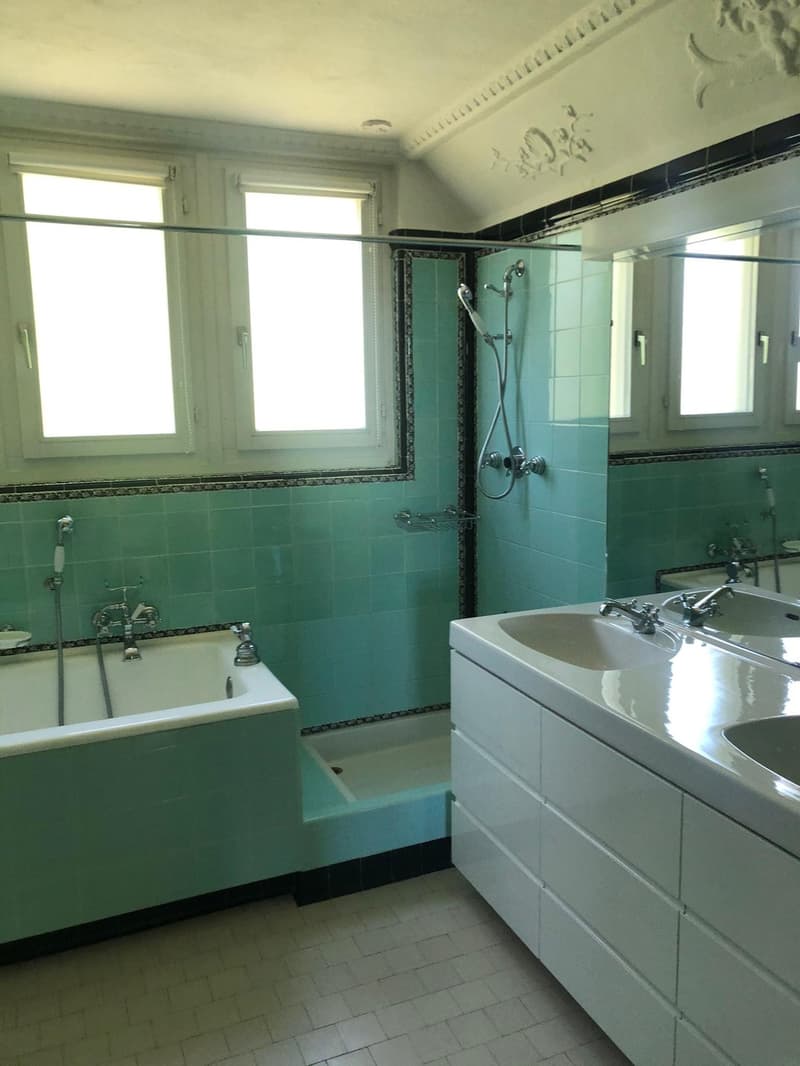 Grosszügiges WG-Zimmer in Stadtvilla am Zürichberg (5)