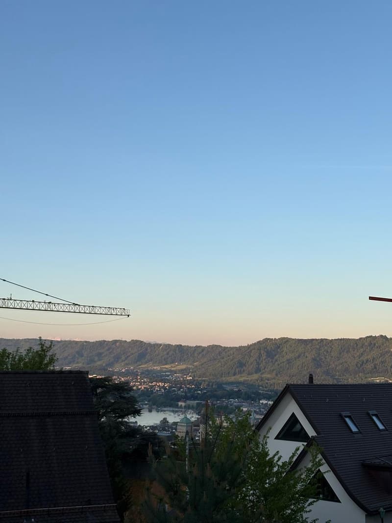 Grosszügiges WG-Zimmer in Stadtvilla am Zürichberg (2)