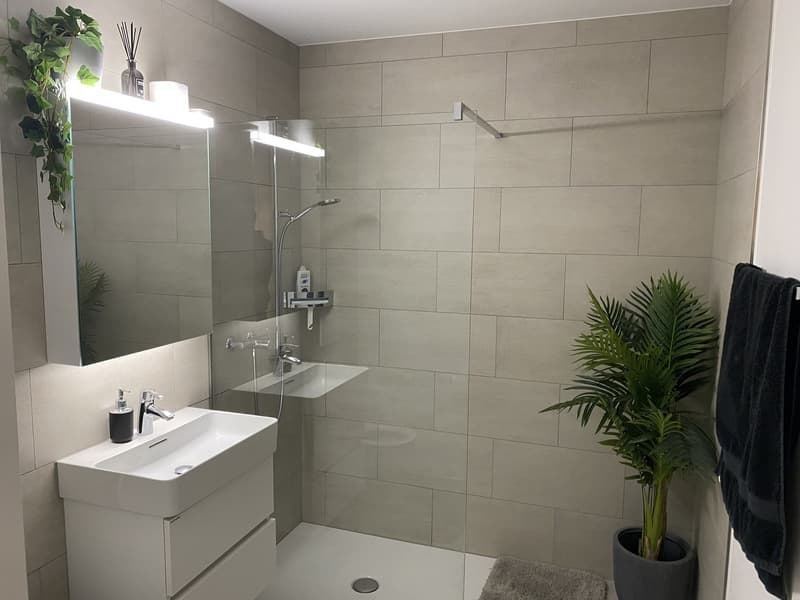 Helle 1.5-Zimmer Wohnung (4)