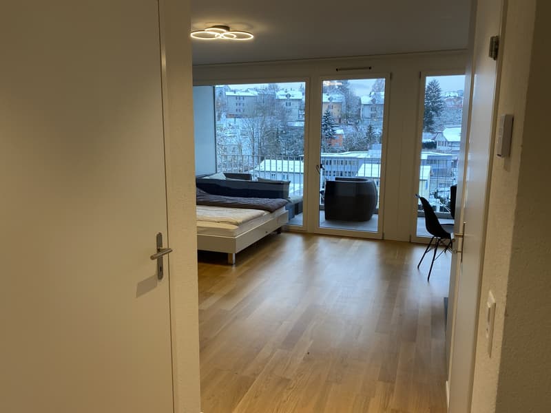 Helle 1.5-Zimmer Wohnung (6)