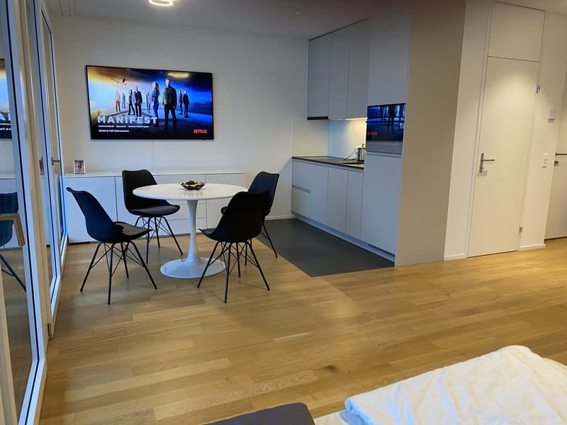 Helle 1.5-Zimmer Wohnung (5)