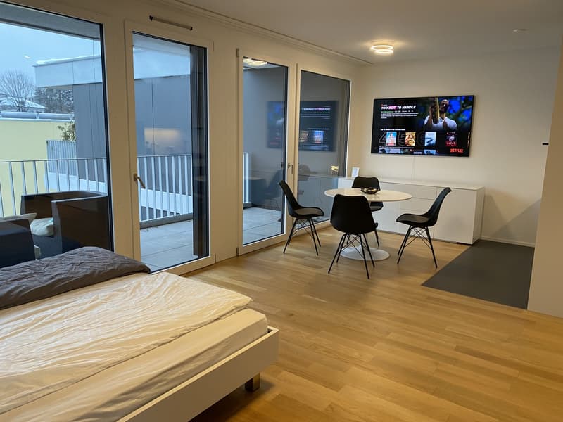 Helle 1.5-Zimmer Wohnung (1)