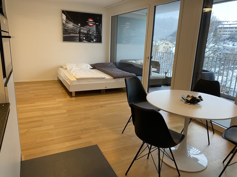 Helle 1.5-Zimmer Wohnung (2)