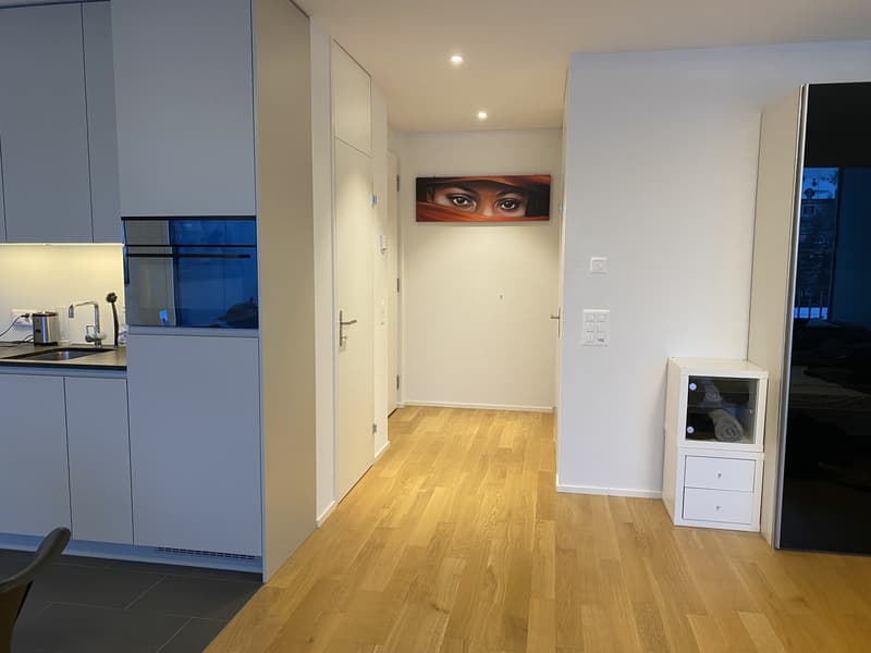 Helle 1.5-Zimmer Wohnung (3)