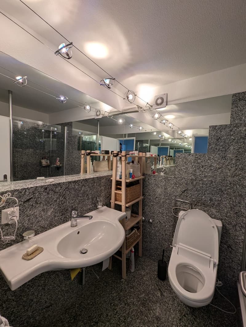 NachmieterIn für diese 3.5-Zimmer-Wohnung gesucht (8)