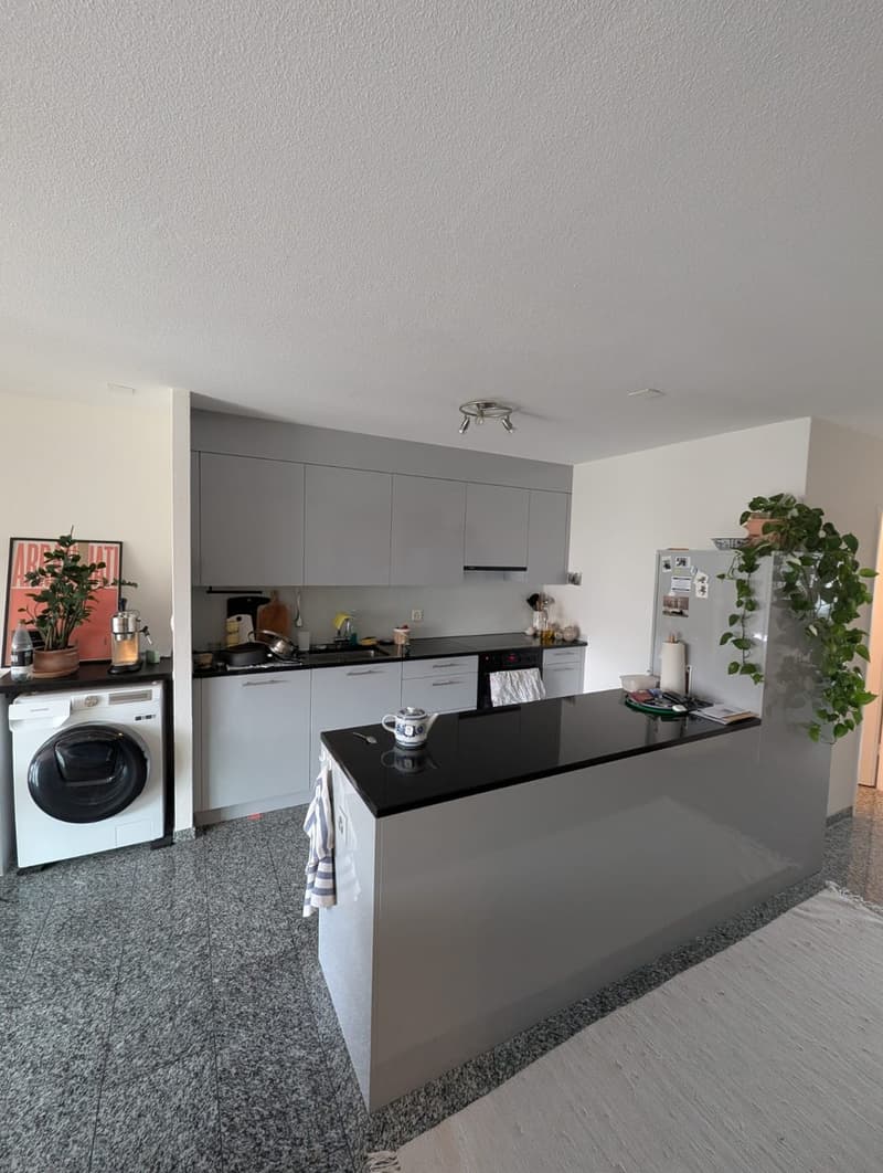 NachmieterIn für diese 3.5-Zimmer-Wohnung gesucht (2)