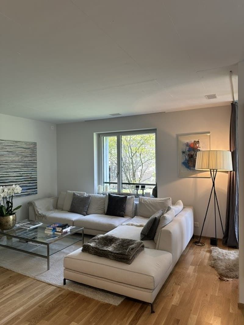 Nachmieter gesucht Moderne 3.5-Zimmer-Wohnung mit Pergola in Mönchaltorf (5)