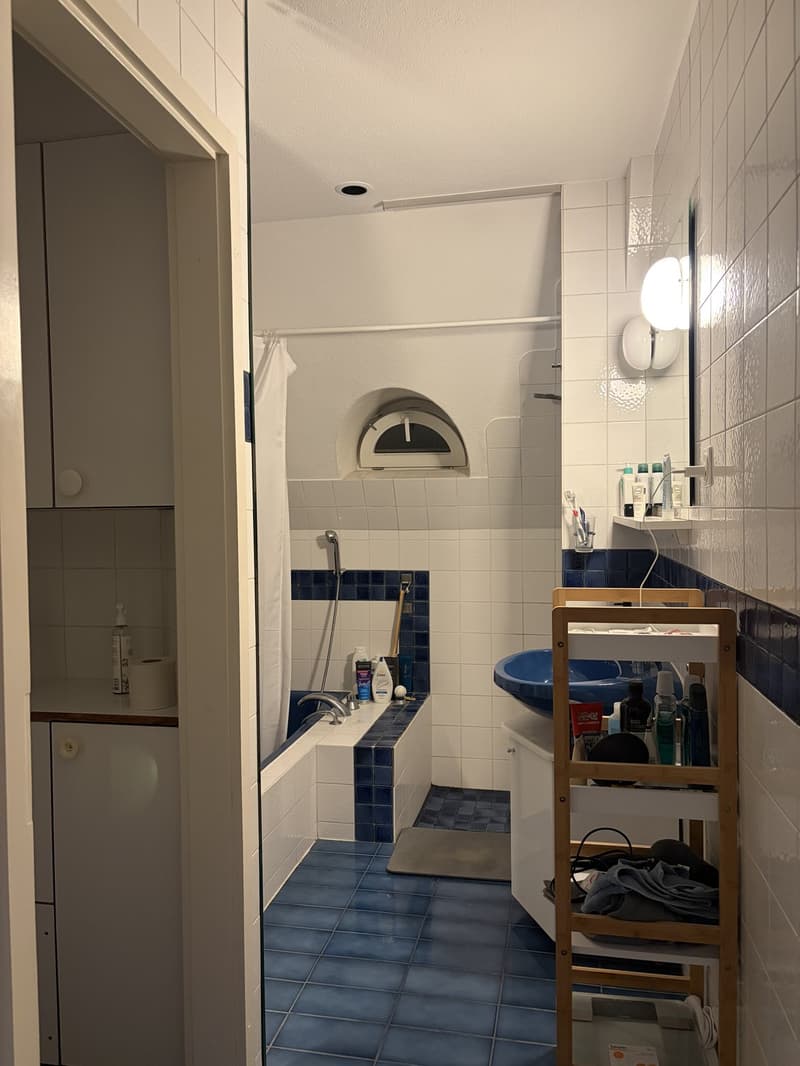 Grosszügiges WG-Zimmer am Zürichsee (3)