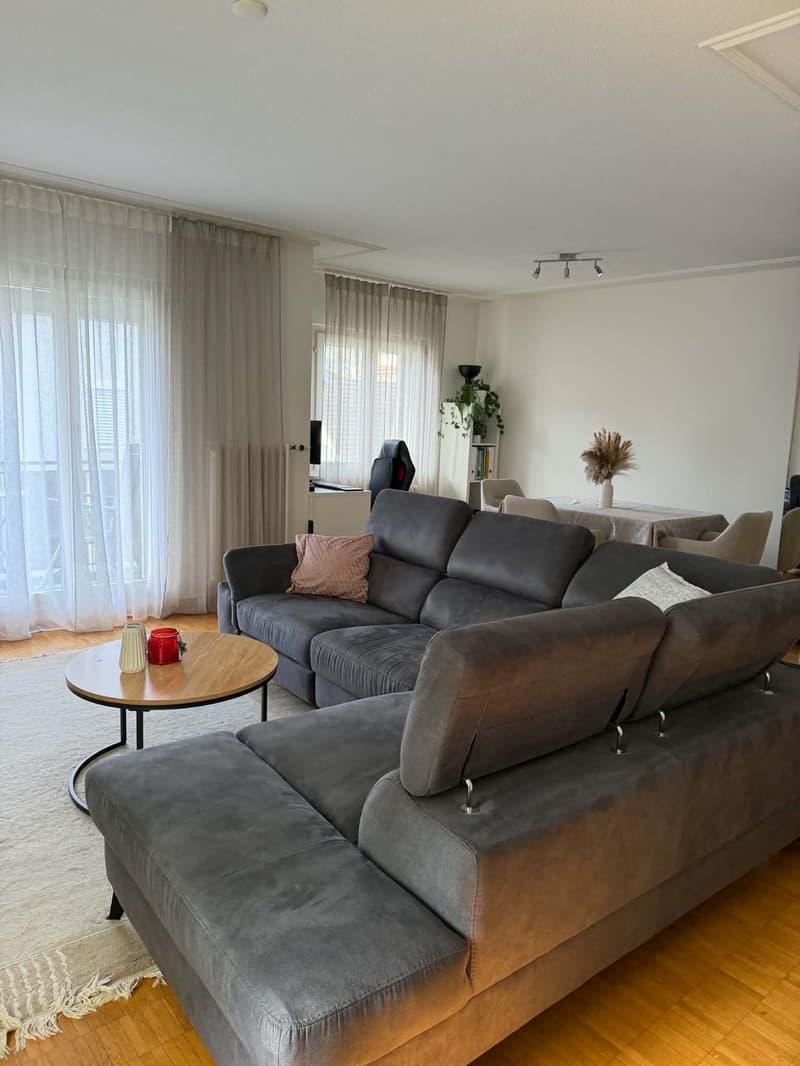 Rent a 2 1/2 rooms apartment on 3rd floor in Dietikon (2)