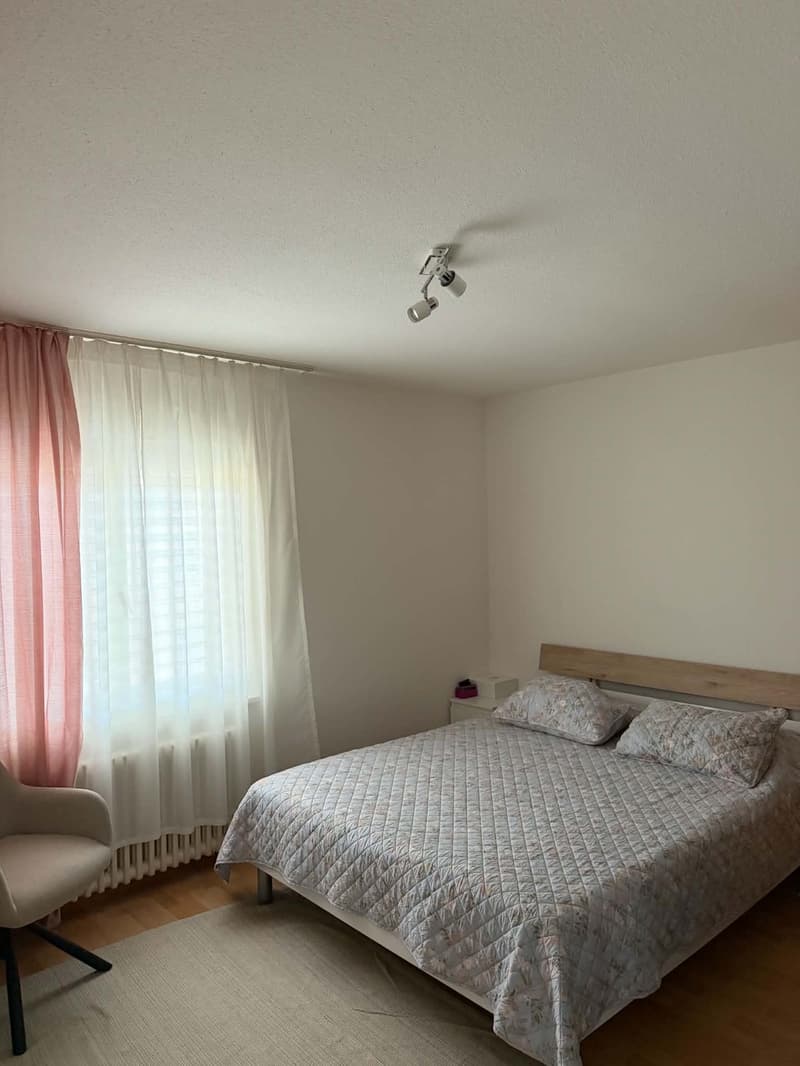 Rent a 2 1/2 rooms apartment on 3rd floor in Dietikon (10)