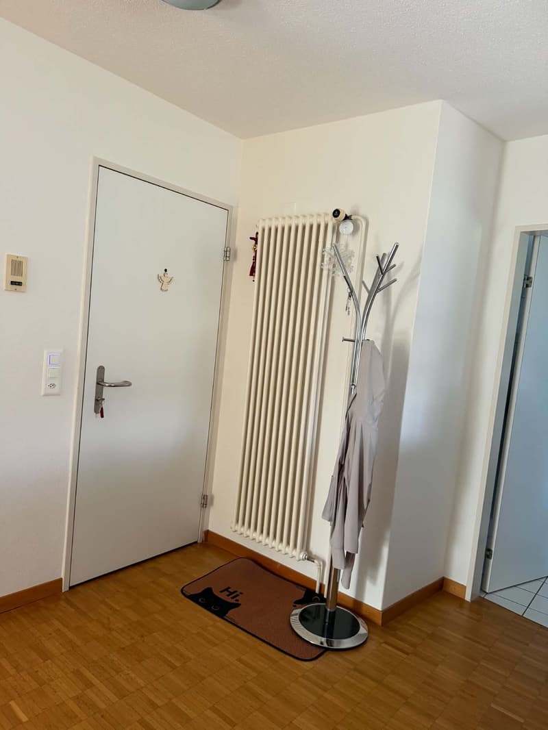 Rent a 2 1/2 rooms apartment on 3rd floor in Dietikon (5)
