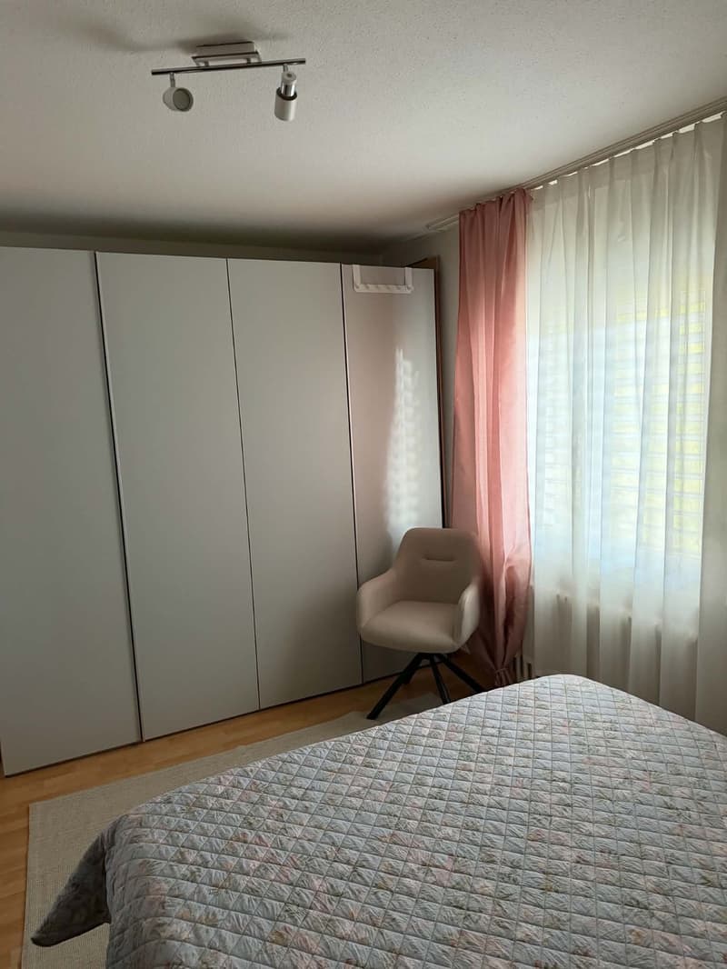 Rent a 2 1/2 rooms apartment on 3rd floor in Dietikon (9)