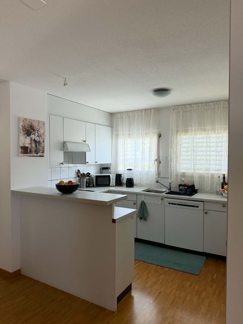 Rent a 2 1/2 rooms apartment on 3rd floor in Dietikon (6)