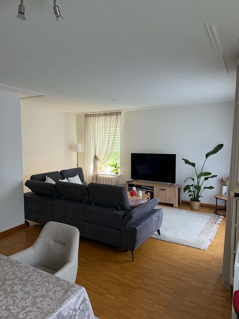 Rent a 2 1/2 rooms apartment on 3rd floor in Dietikon (1)