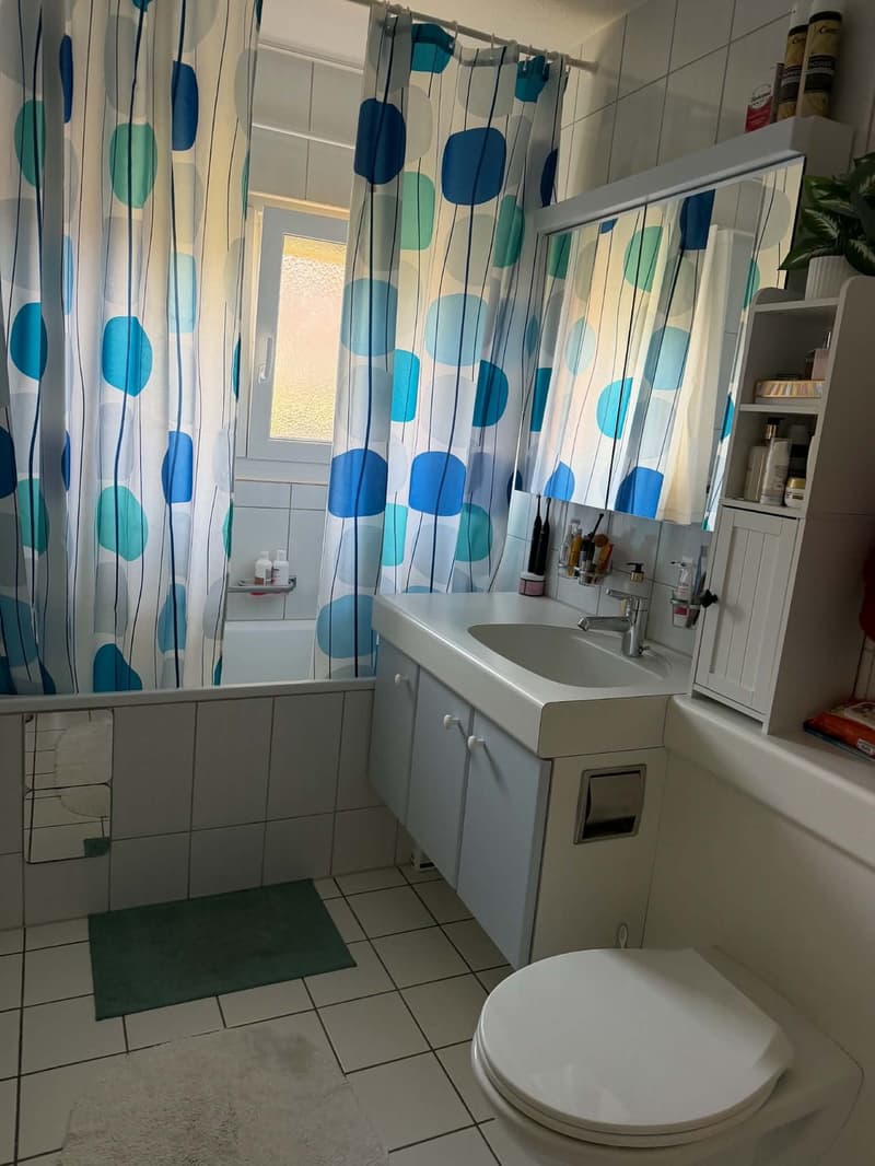 Rent a 2 1/2 rooms apartment on 3rd floor in Dietikon (11)