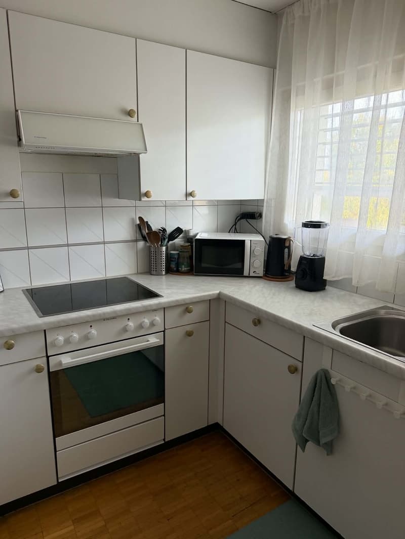 Rent a 2 1/2 rooms apartment on 3rd floor in Dietikon (8)