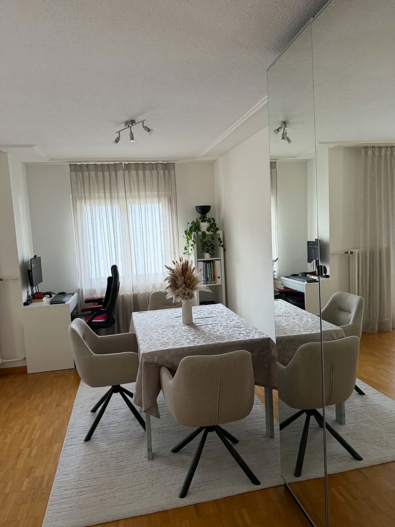 Rent a 2 1/2 rooms apartment on 3rd floor in Dietikon (3)