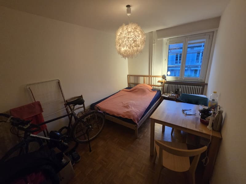 Traumhaftes WG-Zimmer in Zollikon mit eigenem Seezugang & Top-Anbindung (800 CHF) (1)