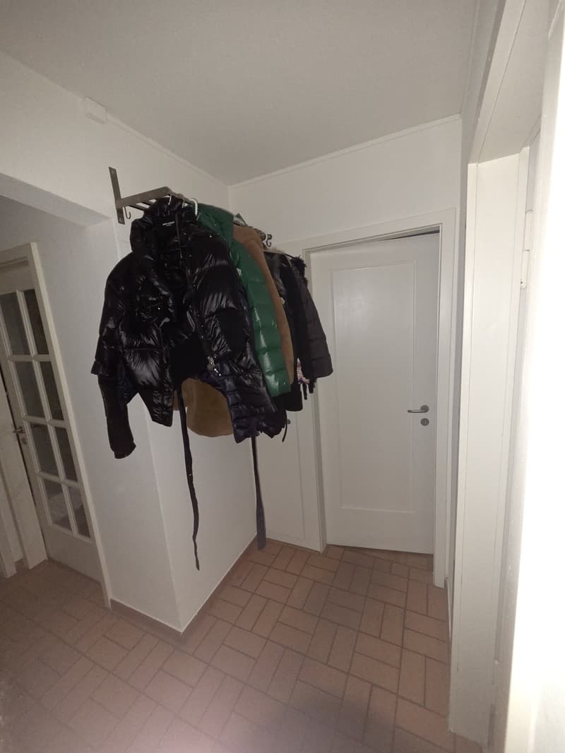 Traumhaftes WG-Zimmer in Zollikon mit eigenem Seezugang & Top-Anbindung (800 CHF) (7)