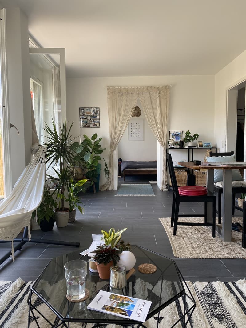 Beautiful, bright and central apartment (4)