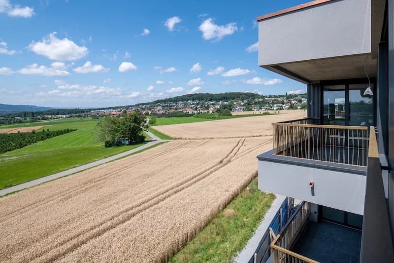 Grosszügige 3.5-Zimmer-Wohnung in Uitikon Waldegg ab 1. Dez (4)