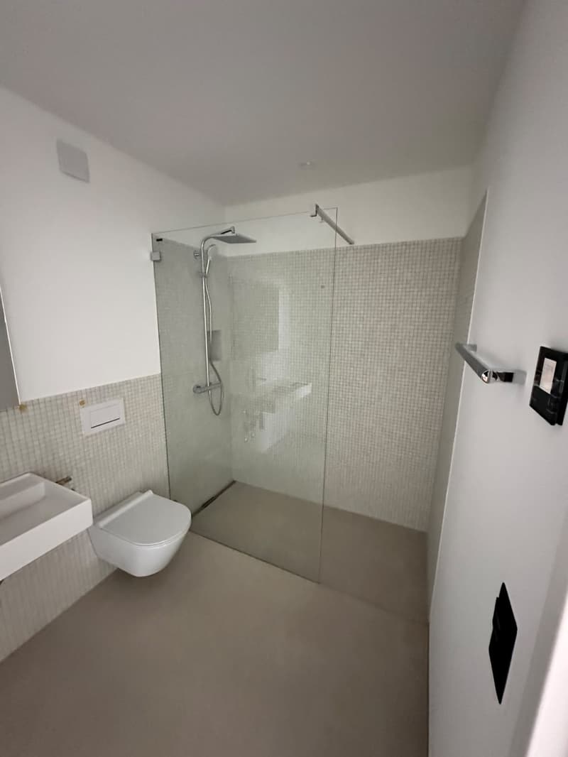 Grosszügige 3.5-Zimmer-Wohnung in Uitikon Waldegg ab 1. Dez (8)