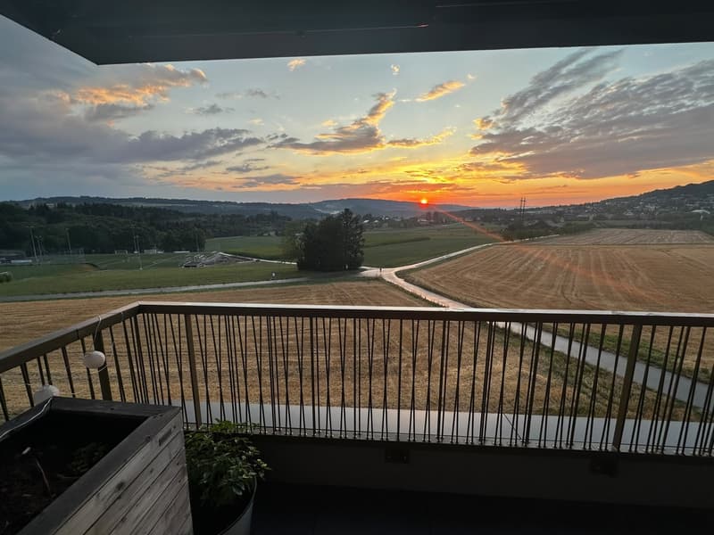Grosszügige 3.5-Zimmer-Wohnung in Uitikon Waldegg ab 1. Dez (5)
