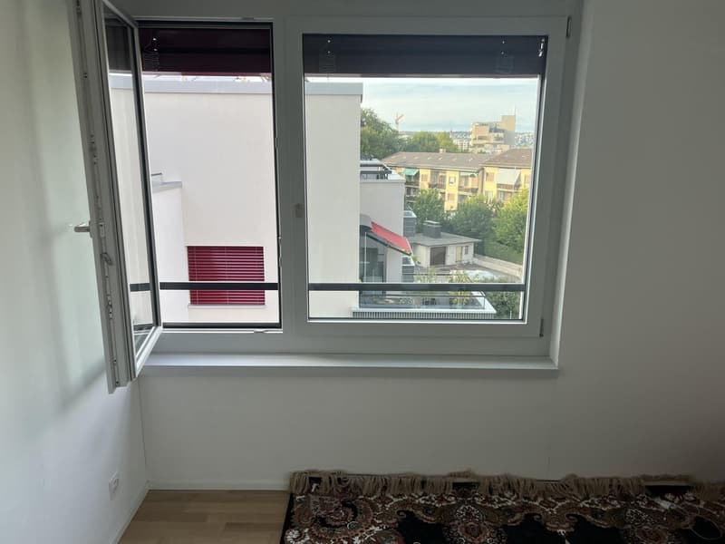 Zimmer in moderner Neubauwohnung mitten in Zürich zu vermieten (2)