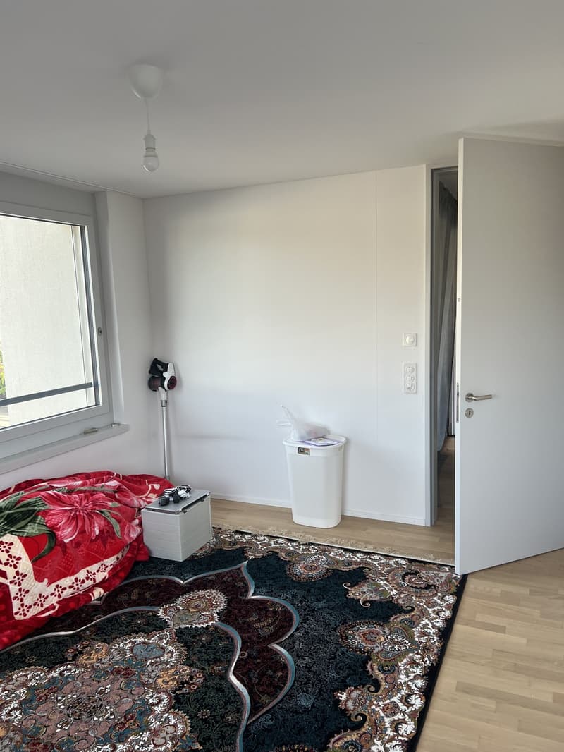 Zimmer in moderner Neubauwohnung mitten in Zürich zu vermieten (1)