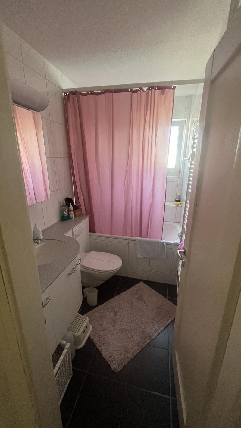 Zimmer in Frauen-WG in Zürich-Seebach ab 1. Dezember CHF 800. inkl. NK (2)