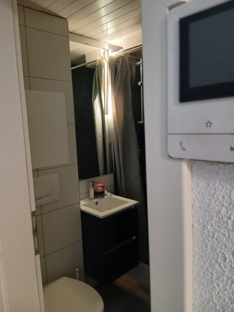 1 Zimmer-Wohnung, 6003 Luzern (7)