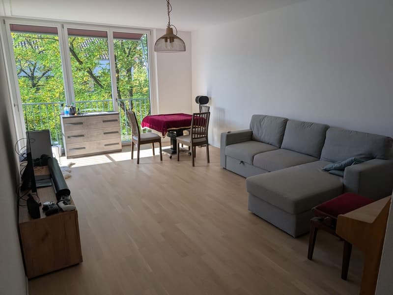 Helles 14.1 m² Zimmer in entspannter 2er-WG in Nähe Bahnhof Altstetten (3)