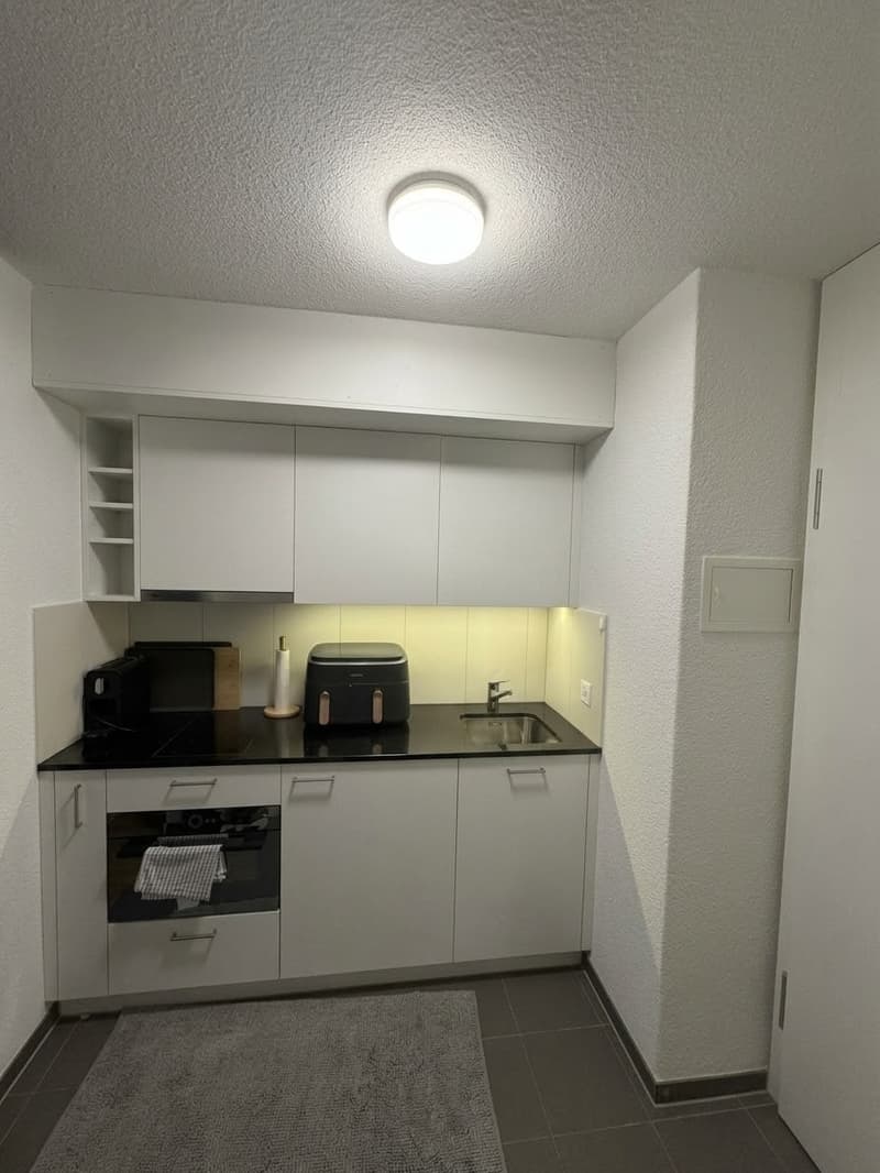 Gemütliche Einzimmerwohnung mit Terrasse ab 1. Dezember 2026 (3)